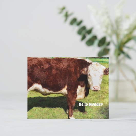 Hello PostCard Postkarte (Stehend Vorderseite)