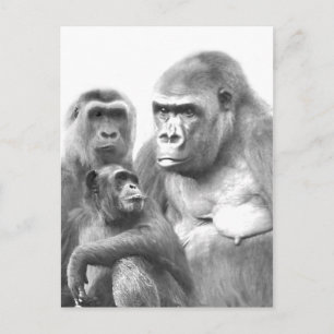 Hello_ Postcard Postkarte