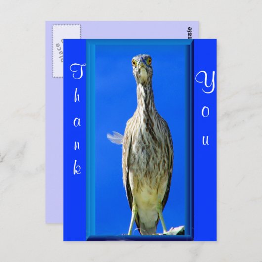 Hello_ Postkarte (Vorne/Hinten)