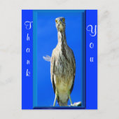 Hello_ Postkarte (Vorderseite)