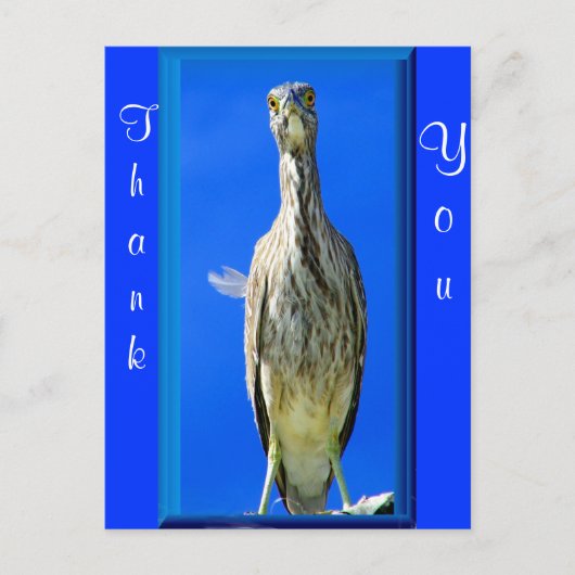 Hello_ Postkarte (Vorderseite)