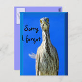 Hello_ Postkarte (Vorne/Hinten)