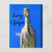 Hello_ Postkarte (Vorderseite)