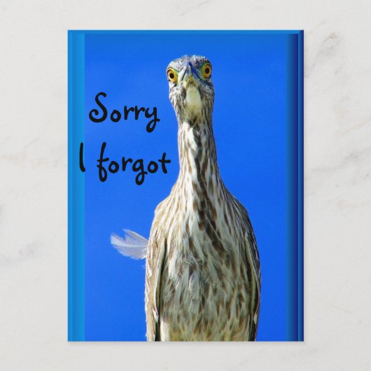 Hello_ Postkarte (Vorderseite)