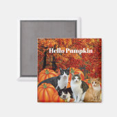 Hello Pumpkin Fall Season Cats in Pumpkin Patch Magnet (Vorderseite/Rückseite)