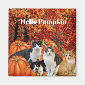 Hello Pumpkin Fall Season Cats in Pumpkin Patch Magnet (Vorne)