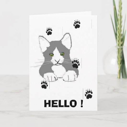 HELLO PUSSY KARTE (Vorderseite)
