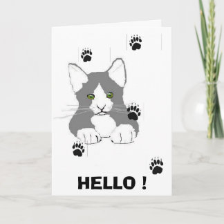 HELLO PUSSY KARTE