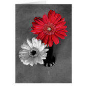 Hello Red Color Splash Gerber Daisy Foto (Vorne)