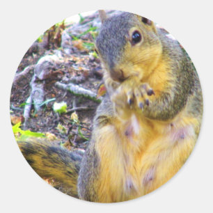 Hello_ Runder Aufkleber