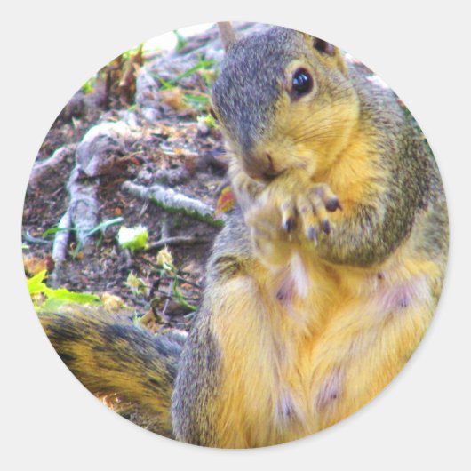 Hello_ Runder Aufkleber (Vorderseite)