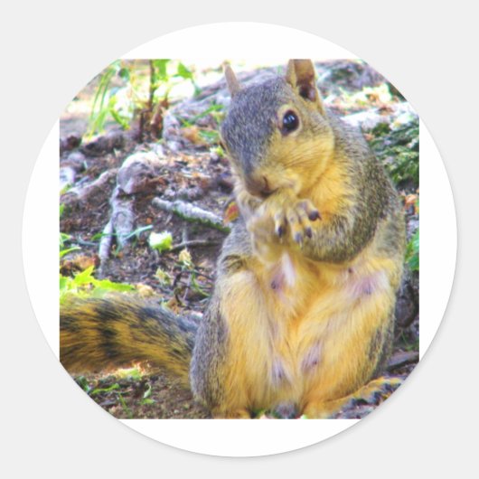 Hello_ Runder Aufkleber (Vorderseite)