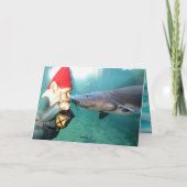 Hello Sir II Karte (Rückseite)