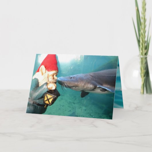 Hello Sir II Karte (Vorderseite)