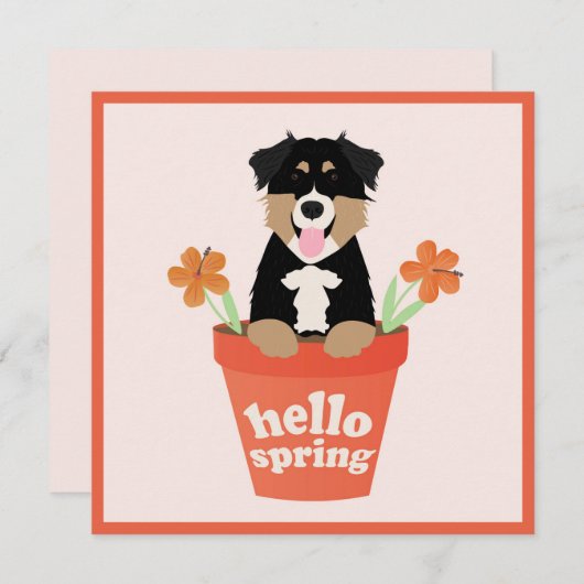 Hello Spring Australian Shepherd Dog in Blume Pot Karte (Vorne/Hinten)