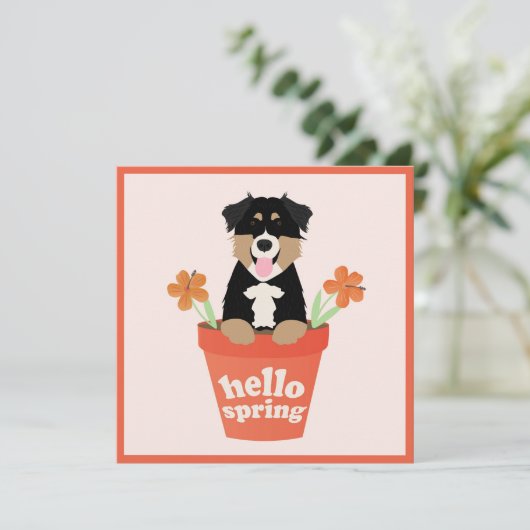 Hello Spring Australian Shepherd Dog in Blume Pot Karte (Stehend Vorderseite)