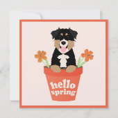 Hello Spring Australian Shepherd Dog in Blume Pot Karte (Vorderseite)