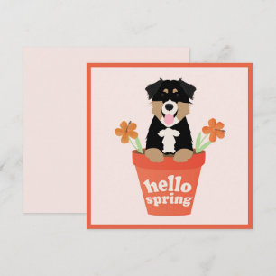 Hello Spring Australian Shepherd Dog in Blume Pot Karte