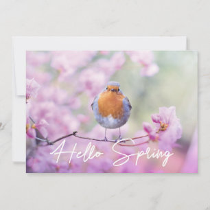 "Hello Spring" Spring Flowering Tree & Robin Bird Feiertagskarte