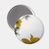 Hello Spring Yellow Flowers Magnet (Vorderseite/Rückseite)