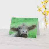 Hello There Cow All Chance Karte (Gelbe Blume)