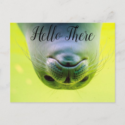 Hello There Siegel Postkarte (Vorderseite)