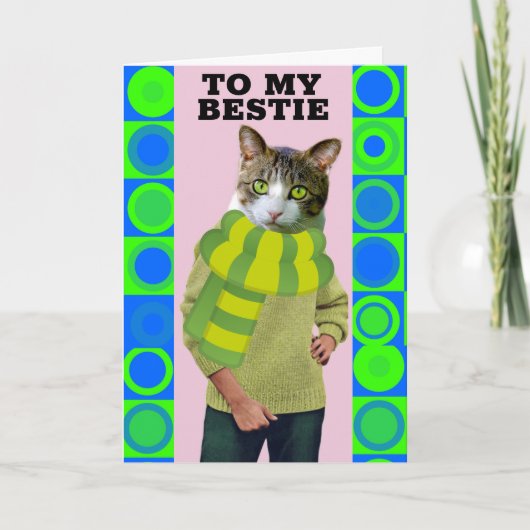 HELLO TO BEST FRIEND FUNNY CAT GREETING CARD KARTE (Vorderseite)