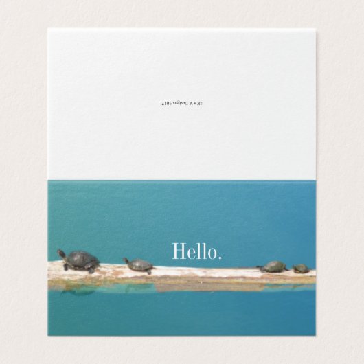 "Hello" Turtle Family Grußkarten (Außenseite Aufgefaltet)