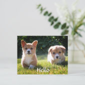 Hello Welsh Pembroke Corgi Puppy Dog Postcard Postkarte (Stehend Vorderseite)