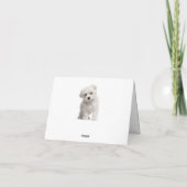 Hello White Maltese Puppy Chalkboard Note Card Karte (Rückseite)