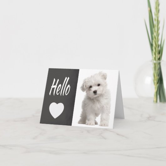 Hello White Maltese Puppy Chalkboard Note Card Karte (Vorderseite)