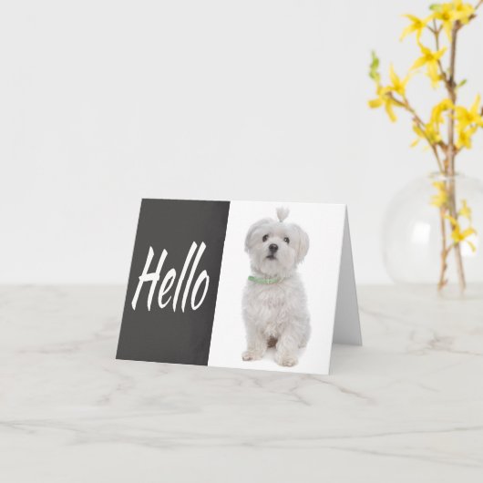 Hello White Maltese Puppy Chalkboard Note Card Karte (Gelbe Blume)