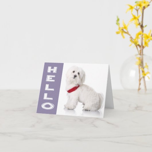 Hello White Maltese Puppy Dog Blank Note Card Karte (Gelbe Blume)