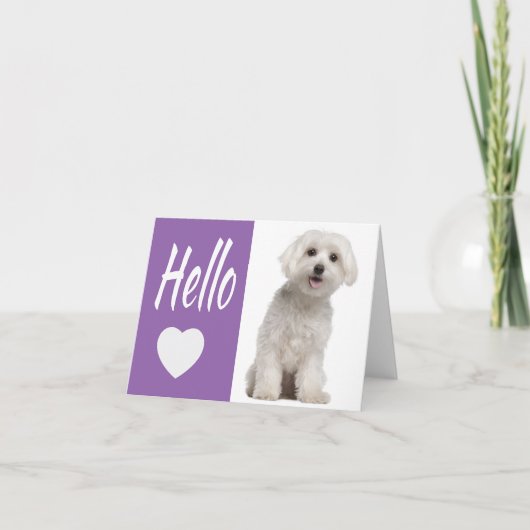 Hello White Maltese Puppy Dog Lila Heart Notecar Karte (Vorderseite)