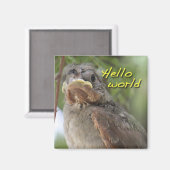 Hello World Magnet (Vorderseite/Rückseite)