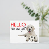 Hello Yellow Labrador Retriever Post Card Postkarte (Stehend Vorderseite)