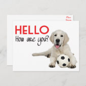 Hello Yellow Labrador Retriever Post Card Postkarte (Vorne/Hinten)