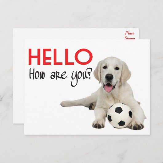Hello Yellow Labrador Retriever Post Card Postkarte (Vorne/Hinten)