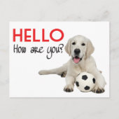 Hello Yellow Labrador Retriever Post Card Postkarte (Vorderseite)