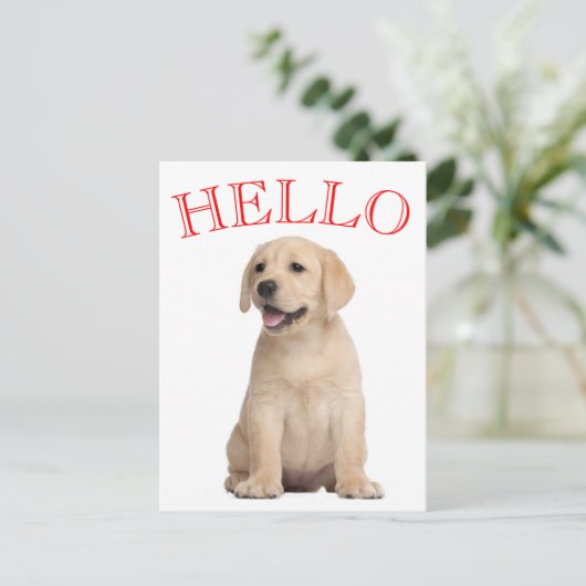 Hello Yellow Labrador Retriever Puppy Dog Postkarte (Stehend Vorderseite)