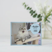 "Helloooo" von IHRER Staat Cat Postkarte (Stehend Vorderseite)