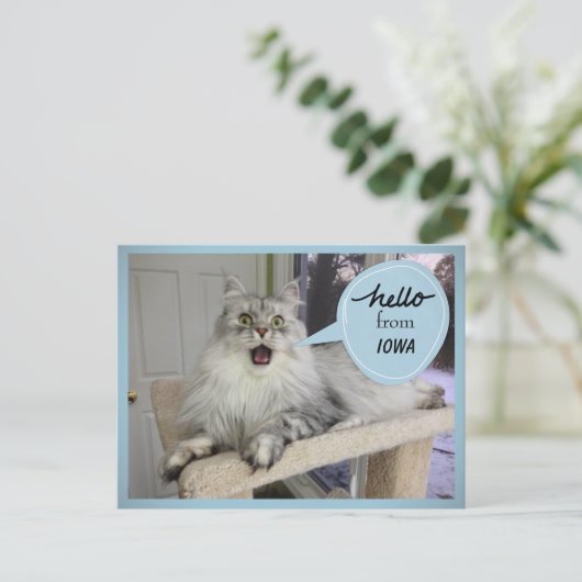"Helloooo" von IHRER Staat Cat Postkarte (Stehend Vorderseite)