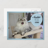 "Helloooo" von IHRER Staat Cat Postkarte (Vorne/Hinten)
