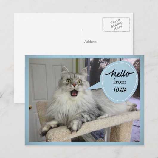 "Helloooo" von IHRER Staat Cat Postkarte (Vorne/Hinten)