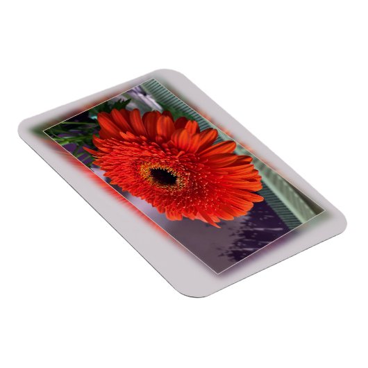 Hellorange Blüte Magnet (Rechte Seite)