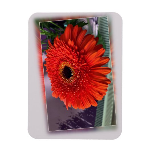 Hellorange Blüte Magnet (Vertikal)
