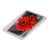 Hellorange Blüte Magnet (Linke Seite)