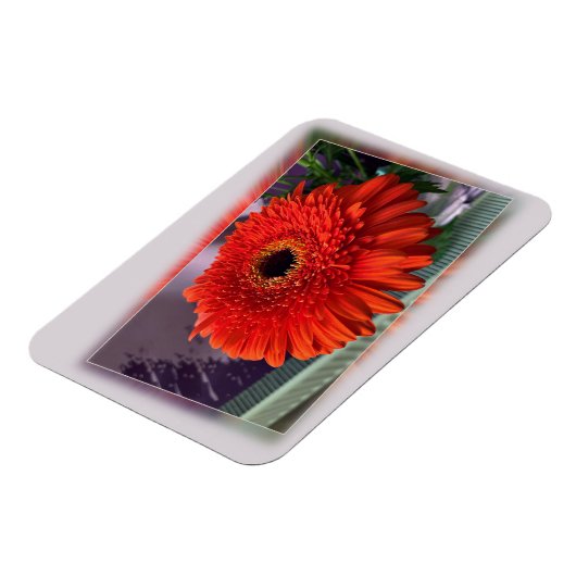 Hellorange Blüte Magnet (Linke Seite)