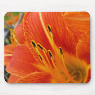 hellorange mousepad