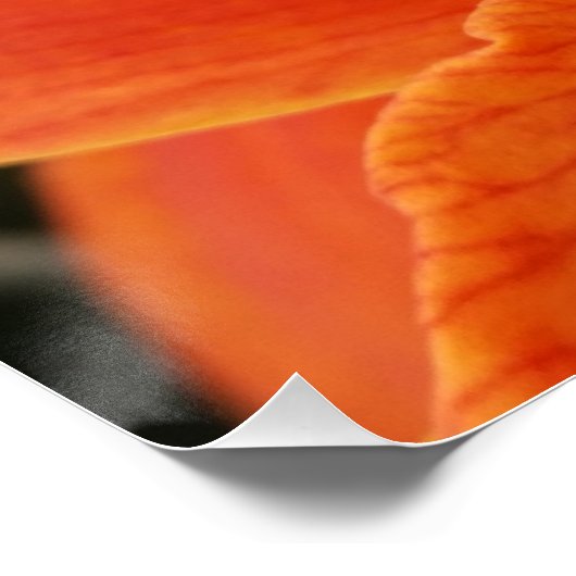 hellorange poster (Ecke)